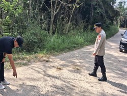 Pelajar SMP di Mura Tewas Usai Motor Senggolan dengan Truk