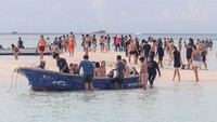 Wisata Bahari TN Komodo Kembali Dibuka, Turis Nikmati Indahnya Taka Makassar