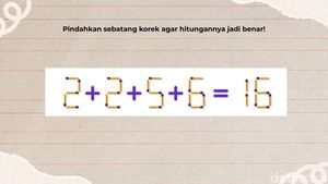 Tes Otak dan Matematika Cukup Pakai Korek Api, Belum Ada yang Bisa Jawab