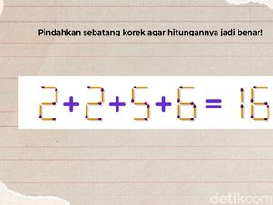Tes Otak dan Matematika Cukup Pakai Korek Api, Belum Ada yang Bisa Jawab