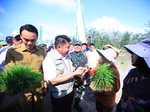 Herman Deru Target Posisi 2 Produksi Beras Nasional
