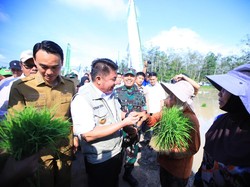 Herman Deru Target Posisi 2 Produksi Beras Nasional