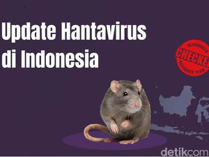 Kronologi Pasien Hantavirus Meninggal di RSHS, Kemenkes RI Pastikan Terjadi di 2025