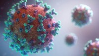Suspek Ebola Melonjak Jadi 543 Kasus, 136 Orang Meninggal Tersebar di Wilayah Ini