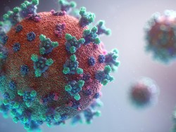 Kembali Muncul di Kongo, Apa Itu Wabah Ebola?