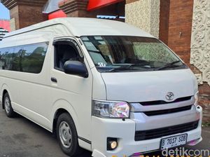Terungkap Modus Baru Penyelundupan Anjing Ilegal ke Bali