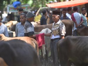 Negosiasi di Balik Kain, Tradisi Marosok Ramai Jelang Idul Adha