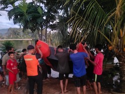 Wanita di Ketapang Hilang Tenggelam Saat Mandi di Sungai