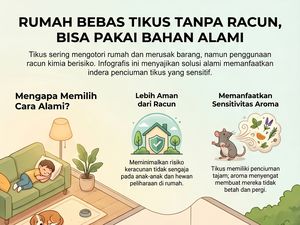 Rumah Bebas Tikus Tanpa Pakai Racun, Bisa Coba Bahan Alami Ini