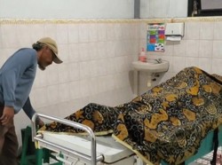 Carok Maut Sesama Tetangga di Klakah Lumajang gegara Dendam Daun Nangka