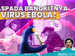 Virus Hanta dan Ebola jadi Perhatian Dunia