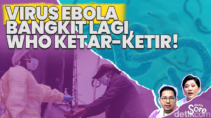 Video: Virus Ebola Bangkit Lagi, WHO Ketar-ketir!