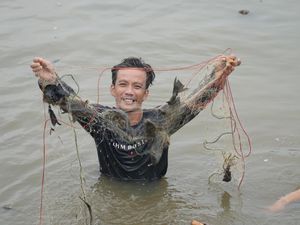 Bersih-bersih Situ Citatah Bogor, 220 Kg Ikan Sapu-sapu Ditangkap