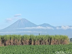Gunung Semeru 2 Kali Luncurkan Lava Pijar Sejauh 2 Kilometer