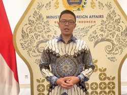 Menlu Bersyukur 9 WNI Ditangkap Israel Sudah Bebas, Apresiasi Peran Turki