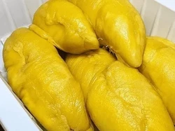 Waduh! Durian Kebanggaan Malaysia Masuk Daftar Buah Terburuk