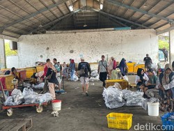 Harga Ikan di Juwana Pati Meroket Buntut Nelayan Tak Melaut
