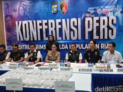 Polisi Gagalkan Penyelundupan 100 Ribu Benih Lobster di Batam, 2 Orang Diamankan