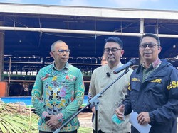Wanti-wanti Pidana Jika Pedagang Nekat Gelonggong Sapi