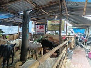 Sepekan Jelang Idul Adha, Penjual Kambing di Denpasar Keluhkan Pembeli Sepi