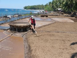 Punya Daya Tarik, Desa Les di Bali Utara Tawarkan Keindahan Alam-Budaya