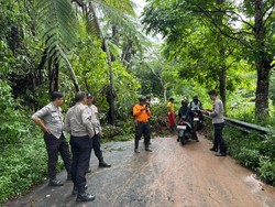 Tanah Lonsor Tutup Akses Jalan Menuju Wisata Gunung Dempo