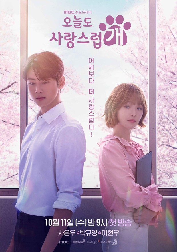 Drama Korea dibintangi Cha Eun Woo terbaik rating tertinggi, A Good Day to Be a Dog/ Foto: MBC