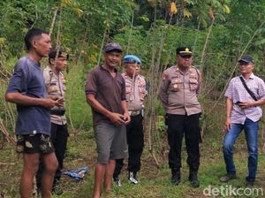 Jelang Idul Adha, Sapi-sapi Warga di Karangasem Hilang Dicuri