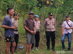 Jelang Idul Adha, Sapi-sapi Warga di Karangasem Hilang Dicuri