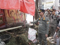 Satpol PP Tertibkan 5 Lapak Pedagang Hewan Kurban di Trotoar Jakpus