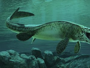 Ilmuwan Temukan Tylosaurus Rex, Monster Laut Sepanjang 13 Meter