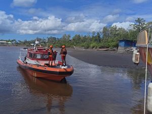 Pria di Mimika Hilang Diterkam-Diseret Buaya ke Sungai Saat Cari Kepiting