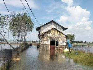 Desa Tunggulsari Pati Kena Banjir Rob, 69 Rumah Terdampak