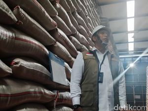 Tanpa Impor, Bulog Jamin Stok Beras Melimpah Sampai 2027