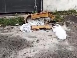 Mayat Anak Wanita Tanpa Identitas Ditemukan di Lampung, Ada Surat Wasiat