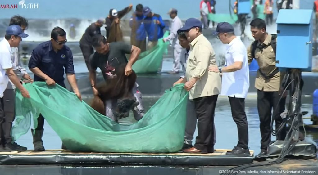 Panen Raya Udang di Tambak Budidaya Udang Berbasis Kawasan, Kebumen, 23 Mei 2026. (Tangkapan layar youtube Setpres RI)