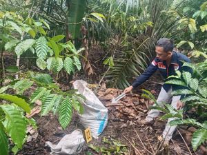 Pelaku Pembunuhan di Kebun Kopi di OKU Selatan Ditangkap, 1 DPO
