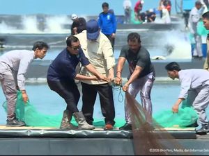 Prabowo Tarik Jala Bareng Penambak Saat Panen Raya Udang di Kebumen
