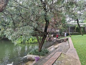 Video: Taman dengan Desain yang Unik, Taman Apung Jaktim