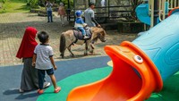 Ada Mini Zoo dan Kebun Hidroponik, Kafe Asri Ini Jadi Favorit Warga Bekasi