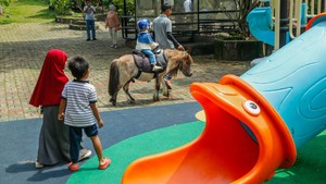 Ada Mini Zoo dan Kebun Hidroponik, Kafe Asri Ini Jadi Favorit Warga Bekasi