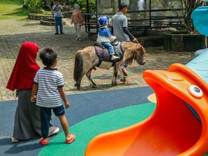 Ada Mini Zoo dan Kebun Hidroponik, Kafe Asri Ini Jadi Favorit Warga Bekasi