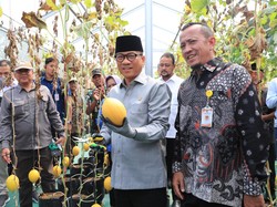 Mendes Puji Desa Tuntang Sukses Manfaatkan Dana Desa hingga Raup Rp 1,6 M
