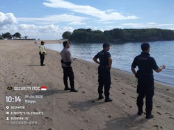 Hiu Muncul di Nusa Dua, Dinas KP Bali Sebut Perairan Masih Baik