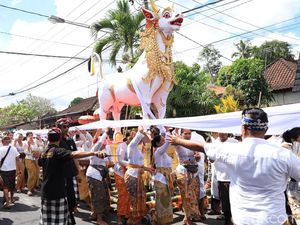 Pelebon Ida Pedanda Istri Purnama Bikin Turis Asing Penasaran
