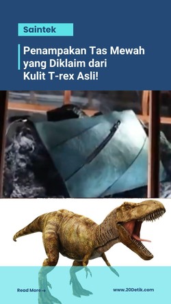  Video Tas Mewah yang Diklaim dari Kulit T-rex Asli, Ini Wujudnya!