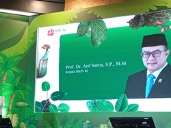 Kepala BRIN: RI Punya 9.600 Tanaman Obat, Tapi Baru 20 Jenis yang Dimanfaatkan