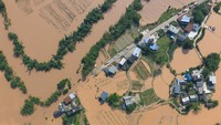 Invasi 900 Ular saat Banjir di China, 1 Wanita Tewas Dipatuk Kobra