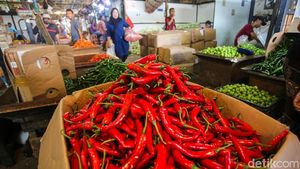 Harga Cabai Pedas, Dompet Warga Ikut Panas Jelang Idul Adha