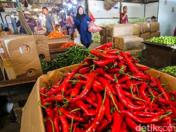Harga Cabai Pedas, Dompet Warga Ikut Panas Jelang Idul Adha